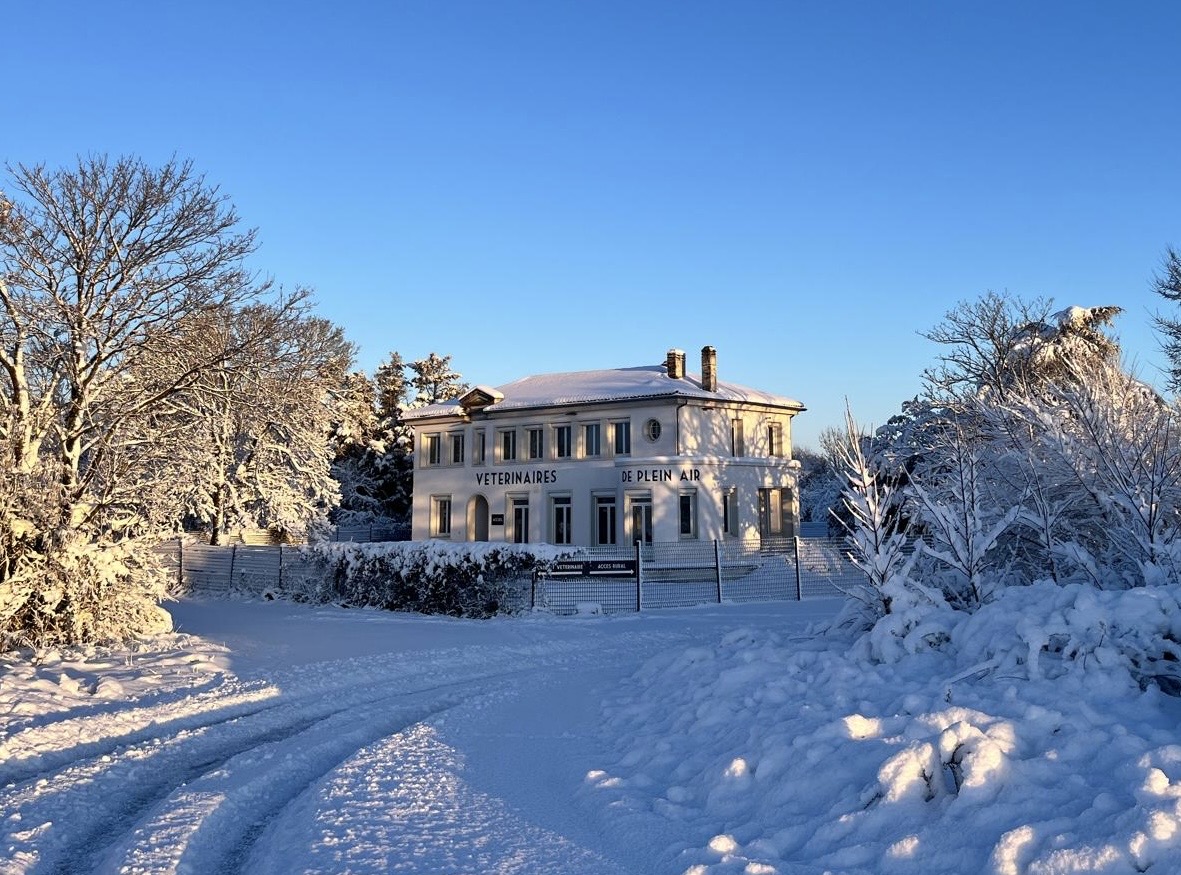 Cabinet vétérinaire de Plein Air — Saint-Sauveur d'Aunis